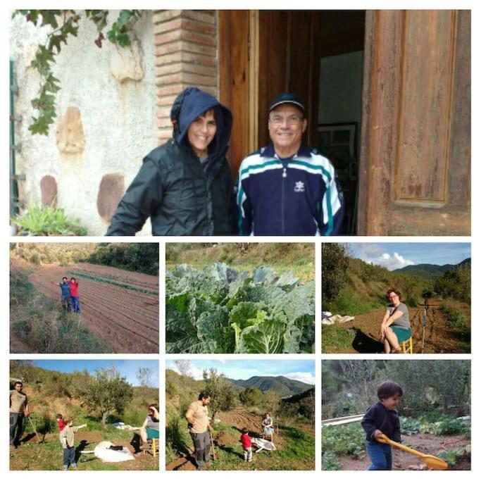 Cottage Eco-Friendly Barcelona Country Side ลา การ์ริกา ภายนอก รูปภาพ
