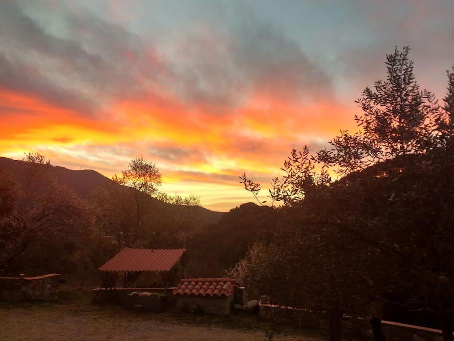 Cottage Eco-Friendly Barcelona Country Side ลา การ์ริกา ภายนอก รูปภาพ