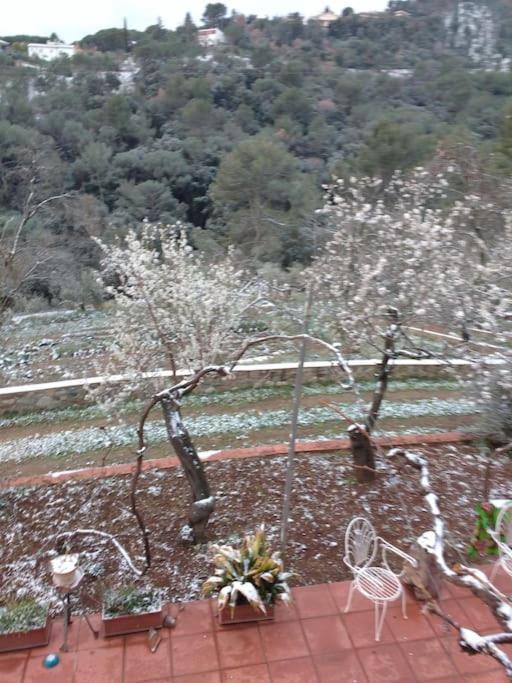 Cottage Eco-Friendly Barcelona Country Side ลา การ์ริกา ภายนอก รูปภาพ