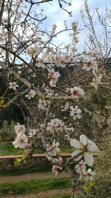 Cottage Eco-Friendly Barcelona Country Side ลา การ์ริกา ภายนอก รูปภาพ