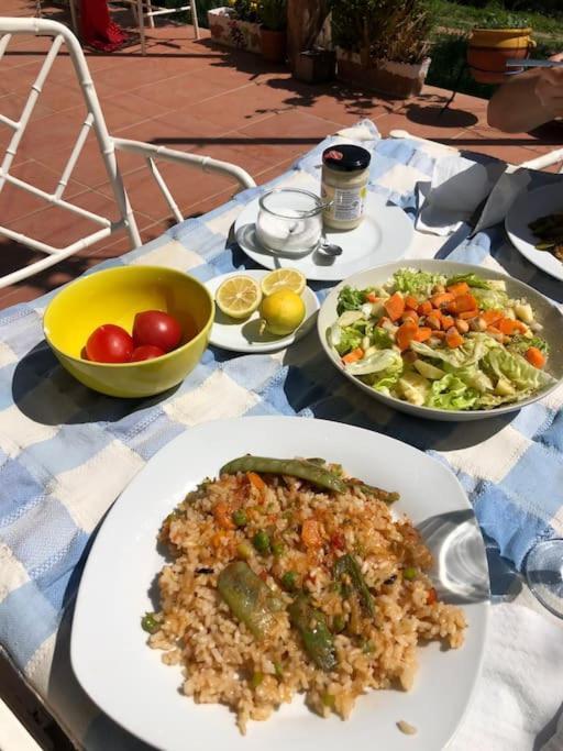 Cottage Eco-Friendly Barcelona Country Side ลา การ์ริกา ภายนอก รูปภาพ